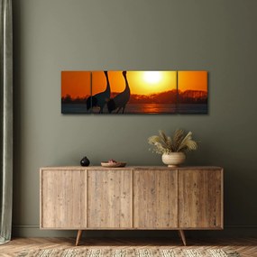 Obraz ptaków o zachodzie słońca (170x50 cm)
