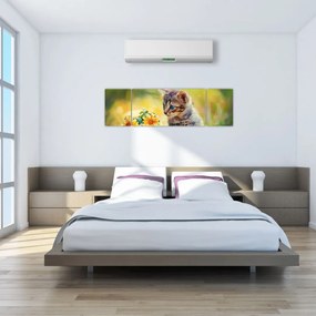 Obraz kotka patrzącego na kwiat (170x50 cm)
