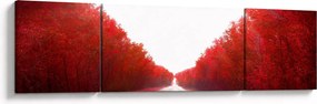 Obraz - Droga do miłości (170x50 cm)