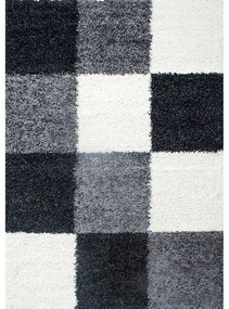 Czarno-biały dywan 120x170 cm Life – Ayyildiz Carpets