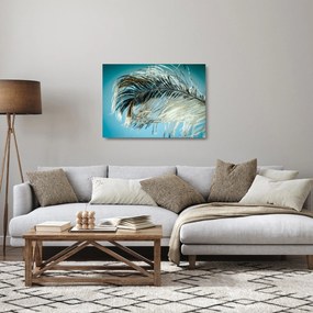Obraz na szkle - pióro (70x50 cm)