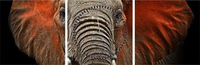 Obraz - Słonie z Tsavo (z zegarem) (90x30 cm)