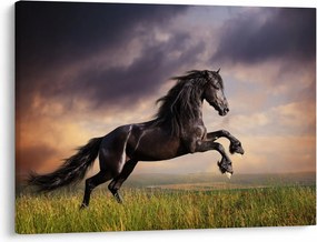 Obraz - Konie (70x50 cm)