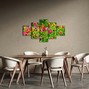 Obraz kwiatów polnych (125x70 cm)