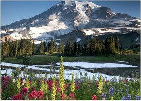 Obraz na szkle - Mount Rainier (70x50 cm)