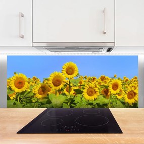 Panel Kuchenny Złocisty Słonecznik W Słońcu