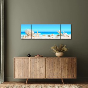 Obraz - Martwa natura z muszelkami (170x50 cm)