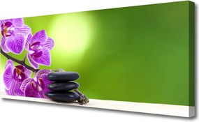 Obraz canvas Zielona Elegancja Storczyka