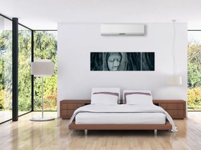 Obraz - Tajska twarz (170x50 cm)
