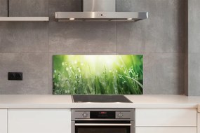 Szklany Panel Krople Rosy w Słońcu