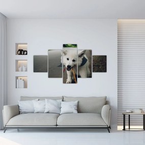 Obraz białego psa (125x70 cm)
