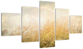 Obraz - Pole jesienią (125x70 cm)
