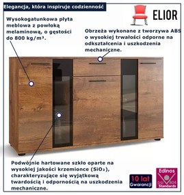 Komoda do salonu w kolorze dąb lefaks F9-T86