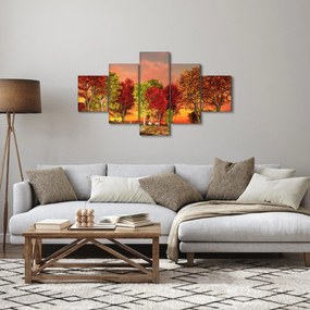 Obraz - Kolorowe drzewa (125x70 cm)