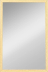 HOMCOM Lustro ścienne, 40 x 60 cm, dekoracyjne lustro do zawieszenia, łatwy montaż, w zestawie śruby | Aosom PL