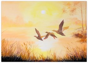 Obraz na szkle - Żurawie o zachodzie słońca (70x50 cm)