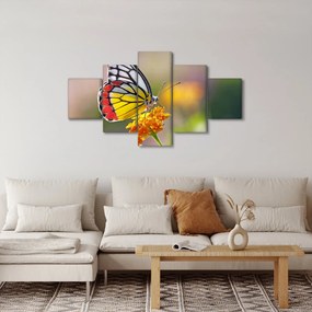 Obraz motyla na kwiatku (125x70 cm)
