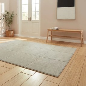 Jasnoszary dywan 120x170 cm Elio Silver – Think Rugs
