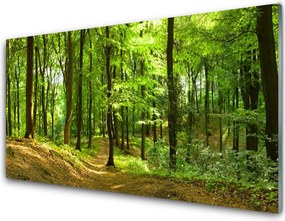 Szkło do Kuchni na Ścianę Ścieżka Przez Dziki Las