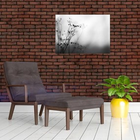 Obraz - Detal kwiatów polnych (70x50 cm)