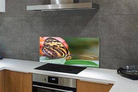 Panel Kuchenny Szklany Samotny Motyl w Locie