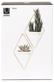 Ceramiczne wiszące doniczki na zioła zestaw 2 szt. Trigg – Umbra