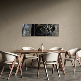 Obraz kotka (z zegarem) (90x30 cm)