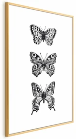 Plakat Trzy motyle 21x30 cm z ramą złotą bez marginesu ARTGEIST B