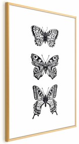 Plakat Trzy motyle 29,7x42 cm z ramą złotą bez marginesu ARTGEIST B