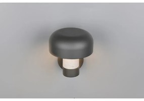 Zewnętrzna lampa ścienna (wysokość 24,5 cm) Fraser – Trio