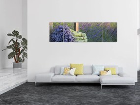 Obraz - Pęczki lawendy (170x50 cm)