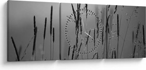 Obraz - źdźbła trawy (z zegarem) (90x30 cm)