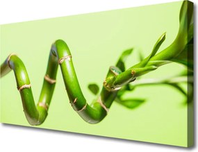 Zdjęcie na płótnie Świeże Pędy Zielonego Bambusa