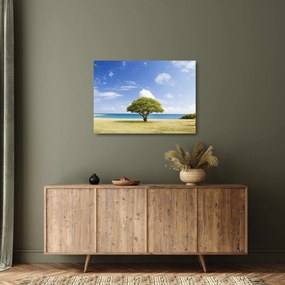 Obraz na szkle - plaża z drzewem (70x50 cm)