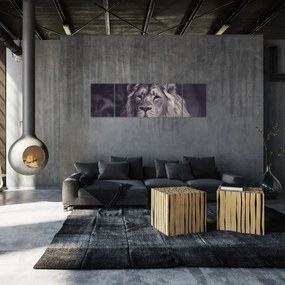 Obraz lwa (170x50 cm)