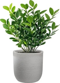 Wazon cylindryczny z żywicy Raffaello Beige 35x34 cm do roślin doniczkowych i ogrodowych