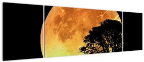 Obraz cieni w świetle księżyca (170x50 cm)