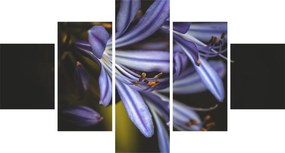 Obraz - Lilia (125x70 cm)