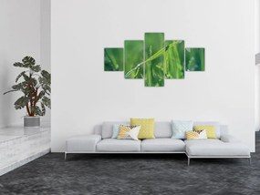Obraz kropli rosy (125x70 cm)