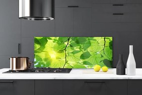 Panel Szklany Botaniczne Liście Paproci