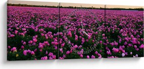 Obraz - Łąka fioletowych tulipanów (z zegarem) (90x30 cm)