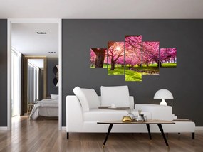 Obraz kwitnących czereśni, Hurd Park, Dover, New Jersey (125x70 cm)