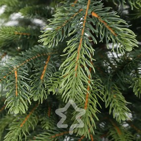 Świerk Natura 150 cm