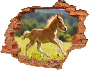 Dziura 3d fototapeta naklejka Źrebię w galopie