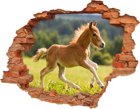 Dziura 3d fototapeta naklejka Źrebię w galopie