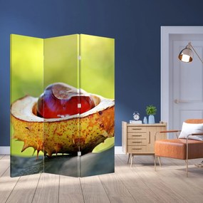 Parawan - Kasztan (126x170 cm)