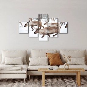 Obraz - Renifer (125x70 cm)