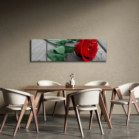 Obraz - Czerwona róża z zieloną łodygą (170x50 cm)