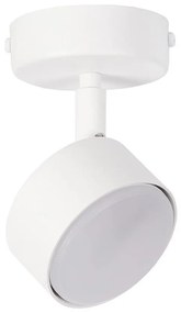 Oświetlenie punktowe NEMO 1xGX53/12W/230V biały