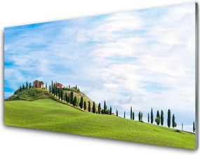 Panel nad blat kuchenny Samotne Drzewo na Polanie